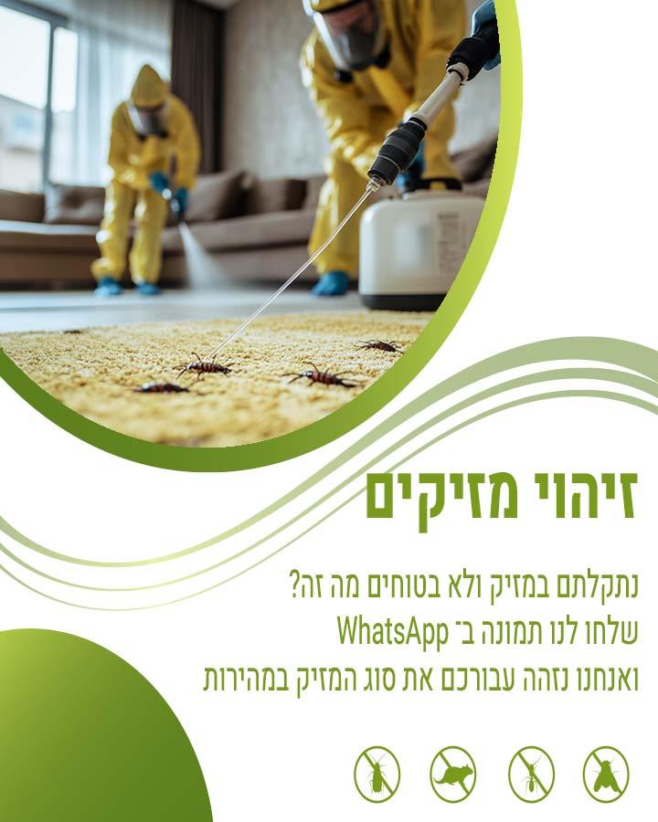 לוכד עכברים בגדרה