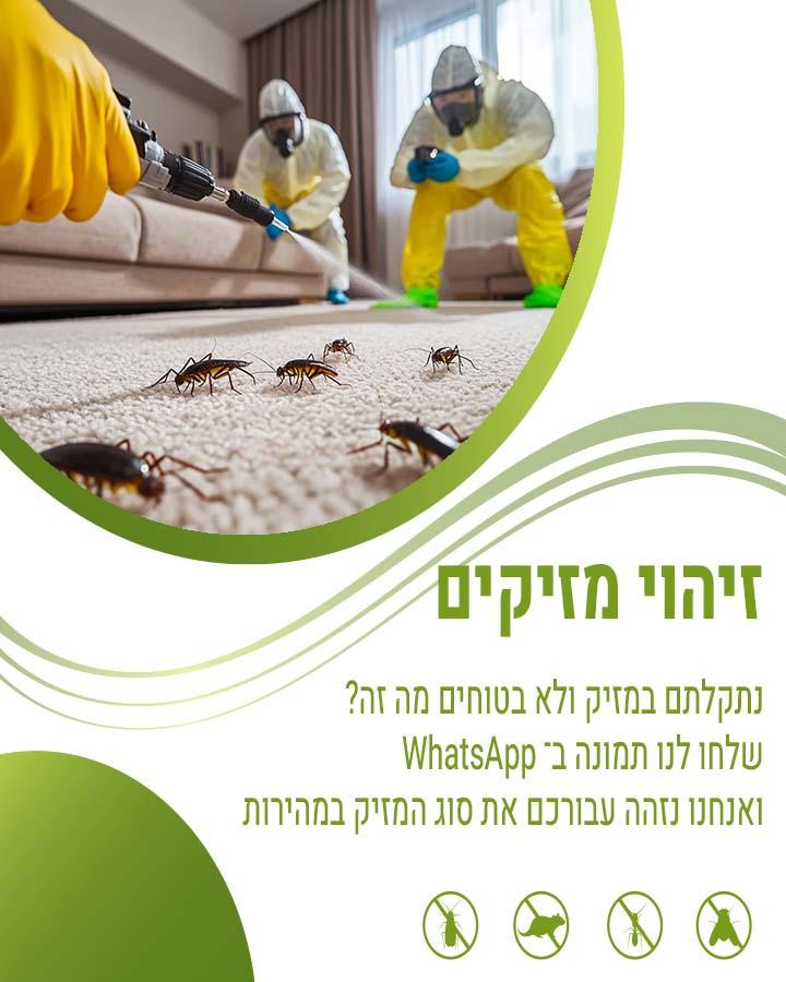 לוכד עכברים בהרצליה