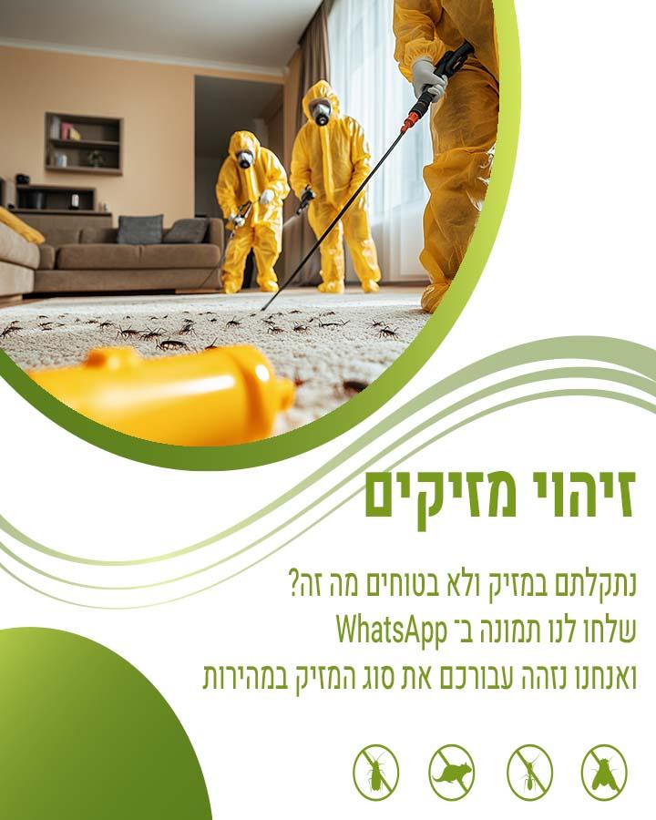 לוכד עכברים בחיפה