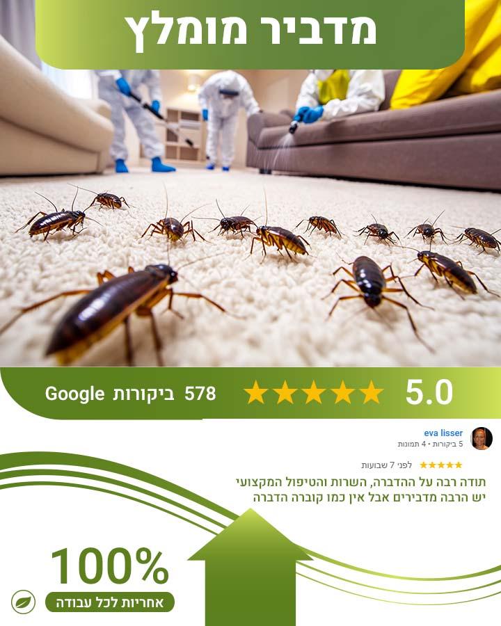 לוכד עכברים בחיפה