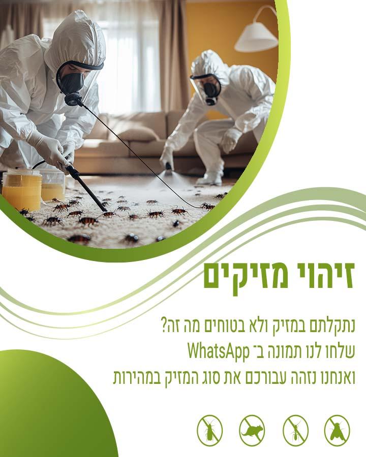 לוכד עכברים ביבנה