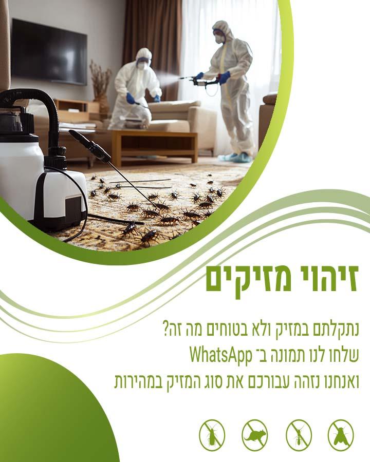 לוכד עכברים ביהוד