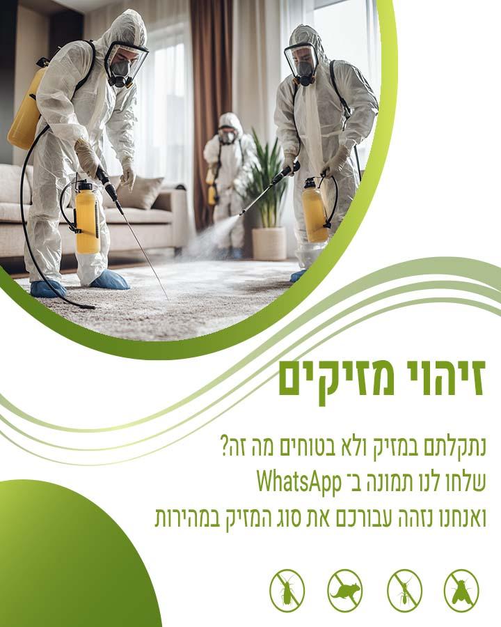 לוכד עכברים בירושלים