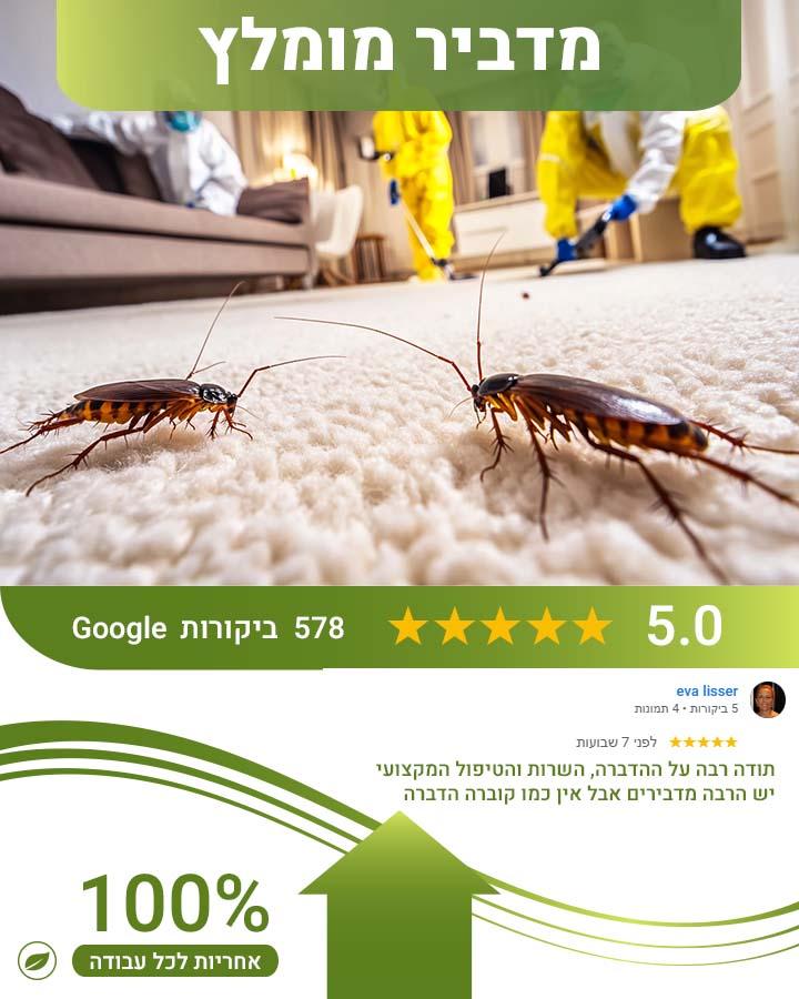 לוכד עכברים בירושלים