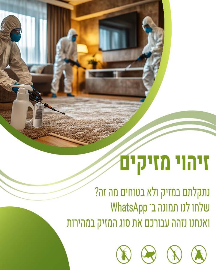 לוכד עכברים בכפר סבא