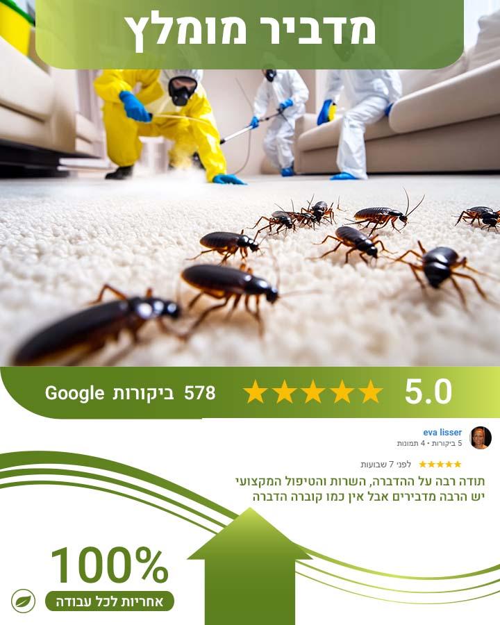 לוכד עכברים בלוד