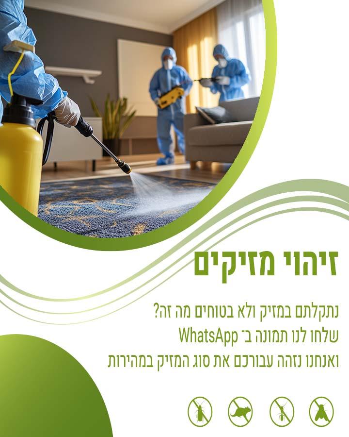 לוכד עכברים במודיעין
