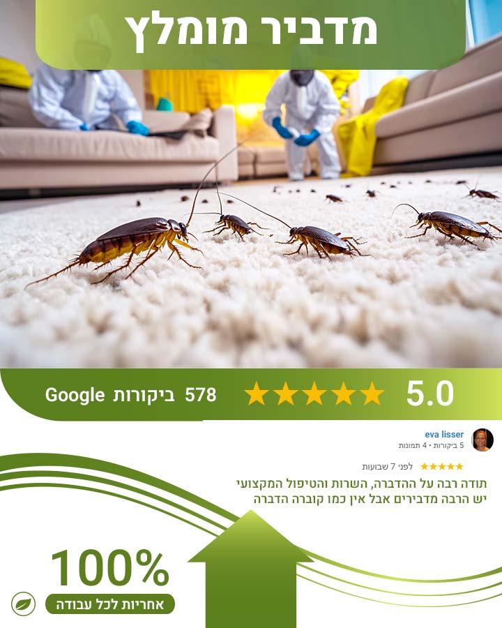 לוכד עכברים במודיעין
