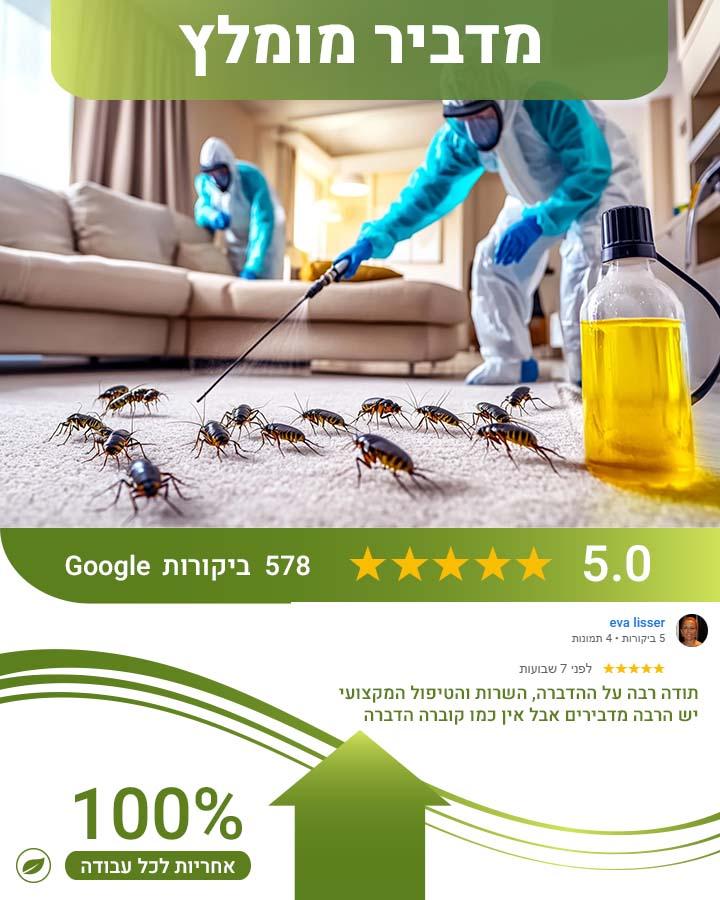 לוכד עכברים בנס ציונה