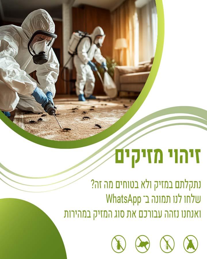 לוכד עכברים בנתניה