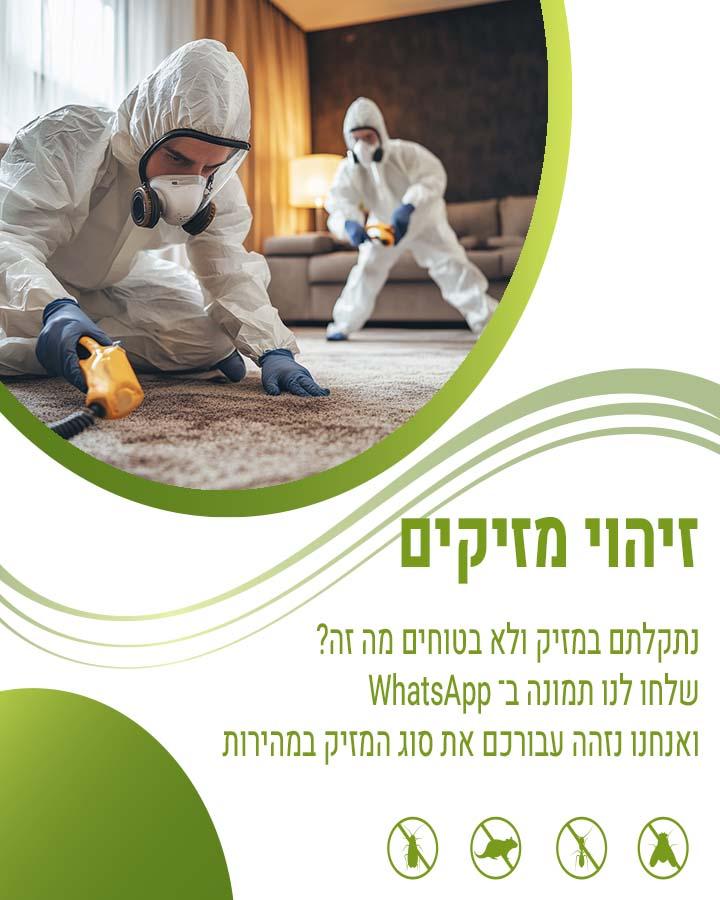 לוכד עכברים בסביון