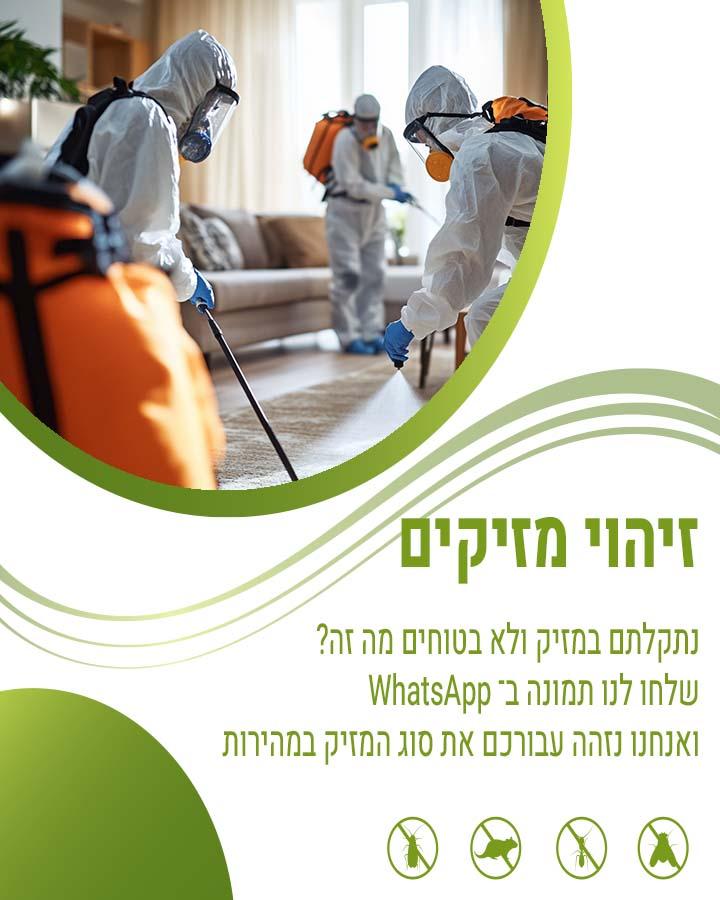לוכד עכברים בפרדס חנה