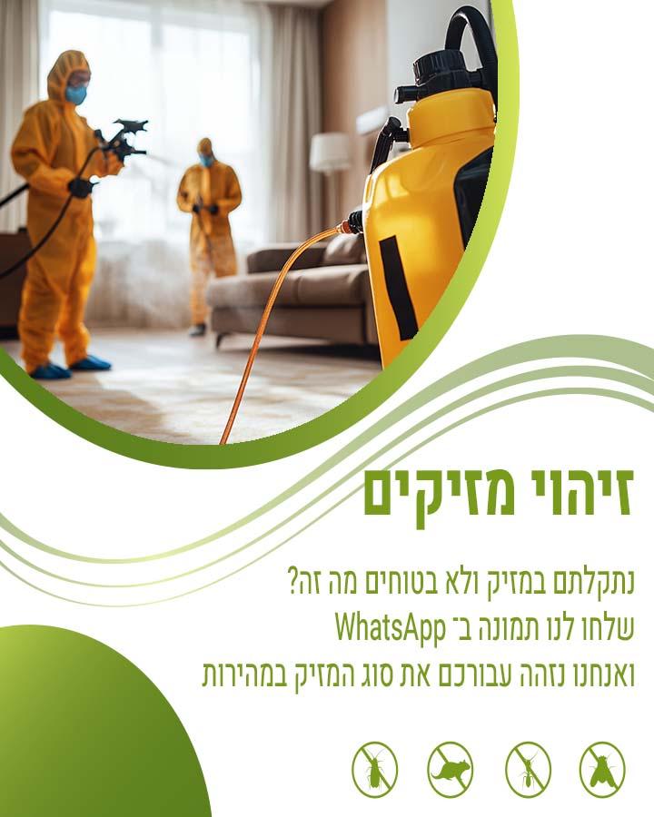 לוכד עכברים בפתח תקווה