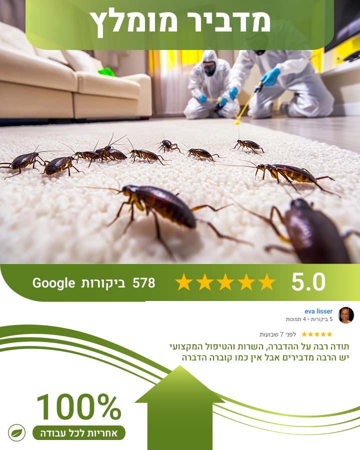 לוכד עכברים בפתח תקווה