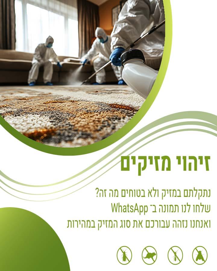 לוכד עכברים בקרית אונו