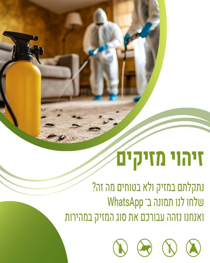 לוכד עכברים בראש העין