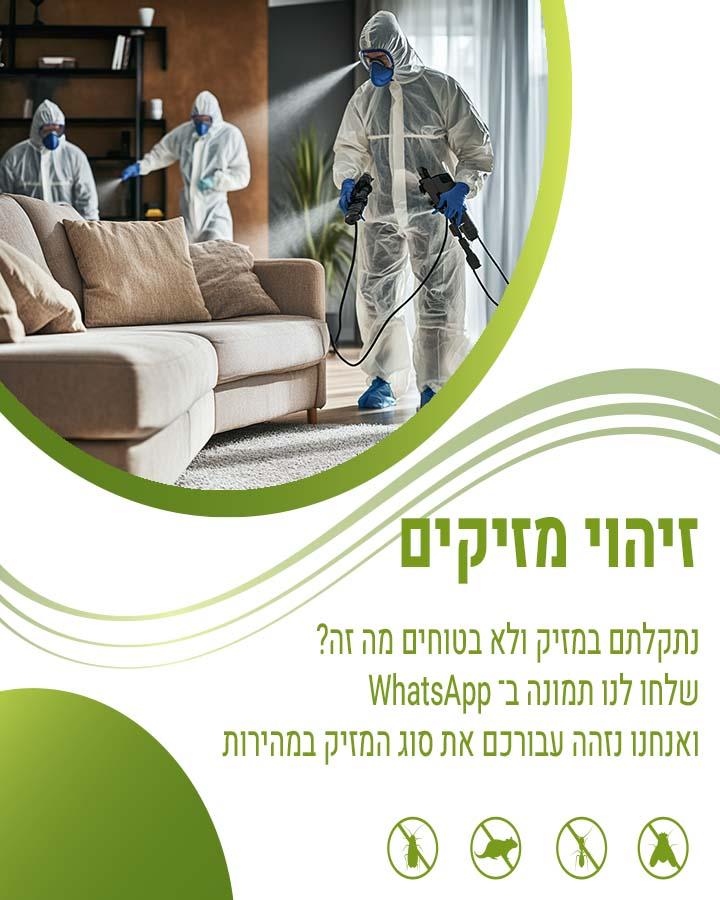 לוכד עכברים בראשון לציון