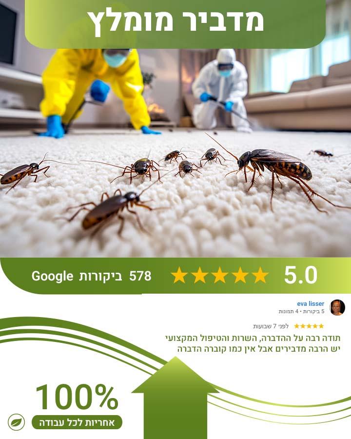 לוכד עכברים בראשון לציון