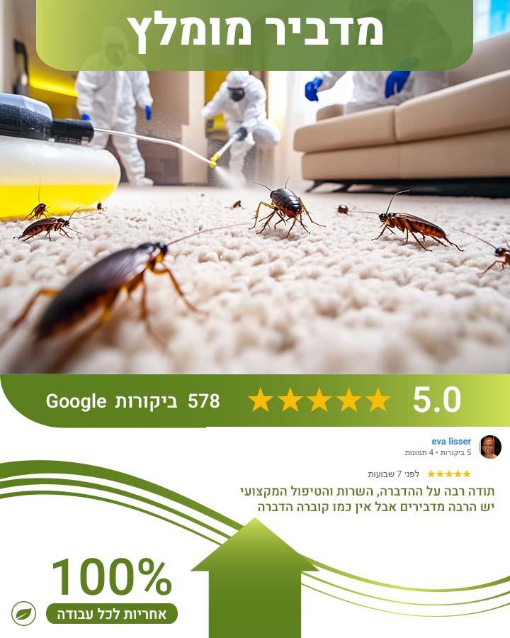 לוכד עכברים ברחובות