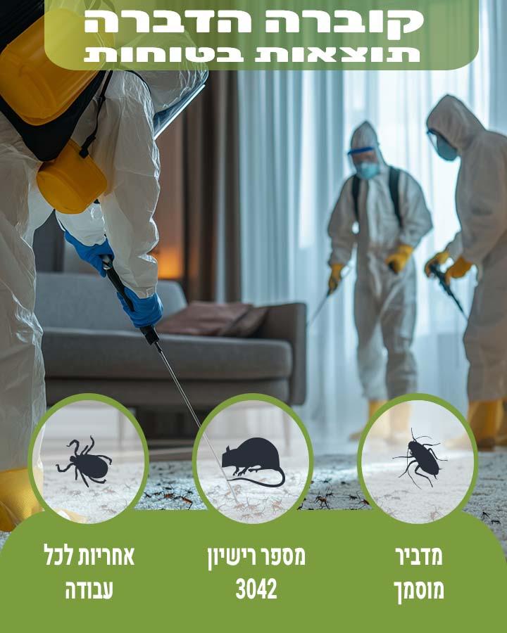 לוכד עכברים ברחובות