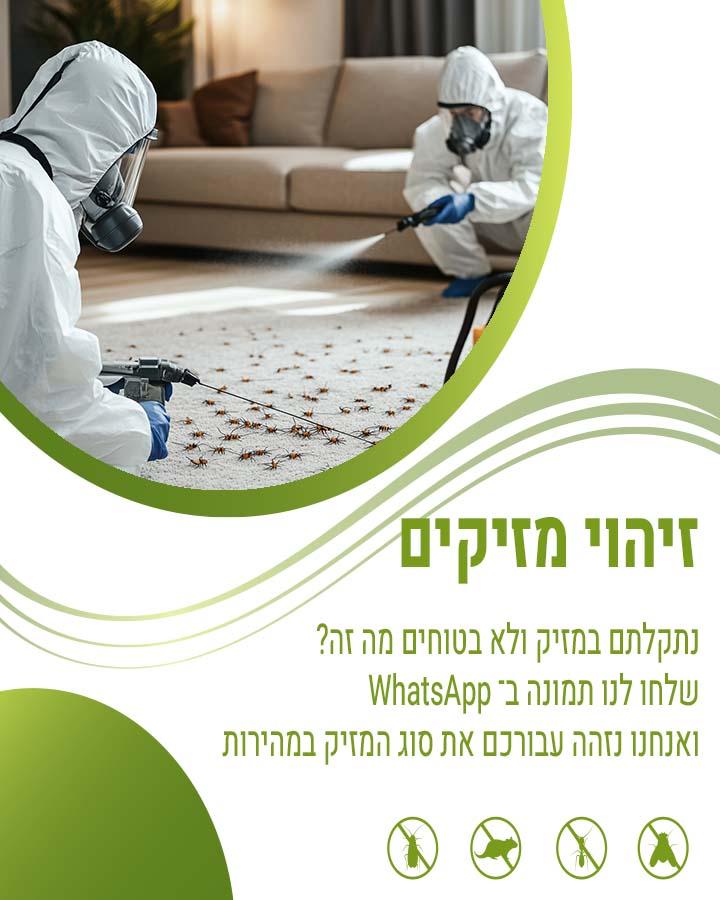 לוכד עכברים ברמלה
