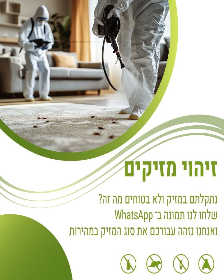 לוכד עכברים ברמת גן