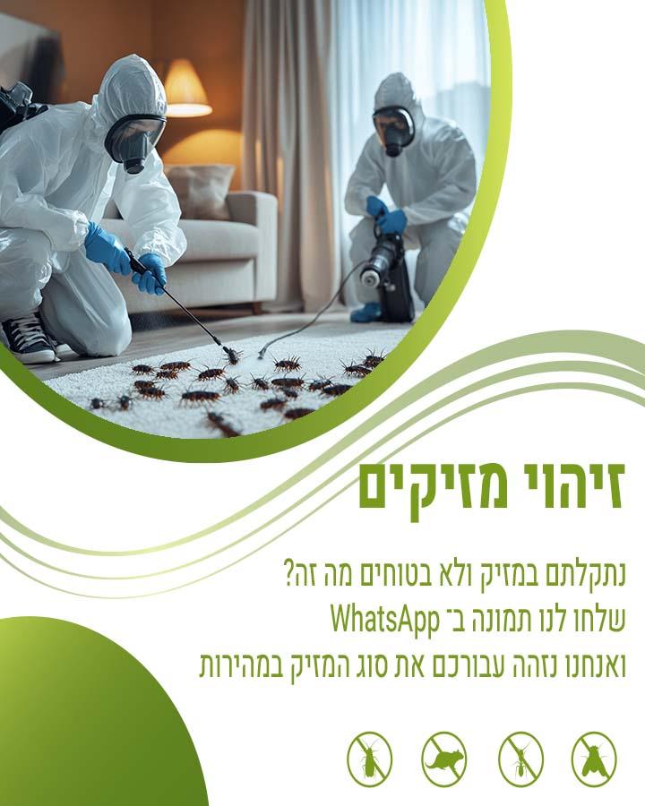 לוכד עכברים ברעננה