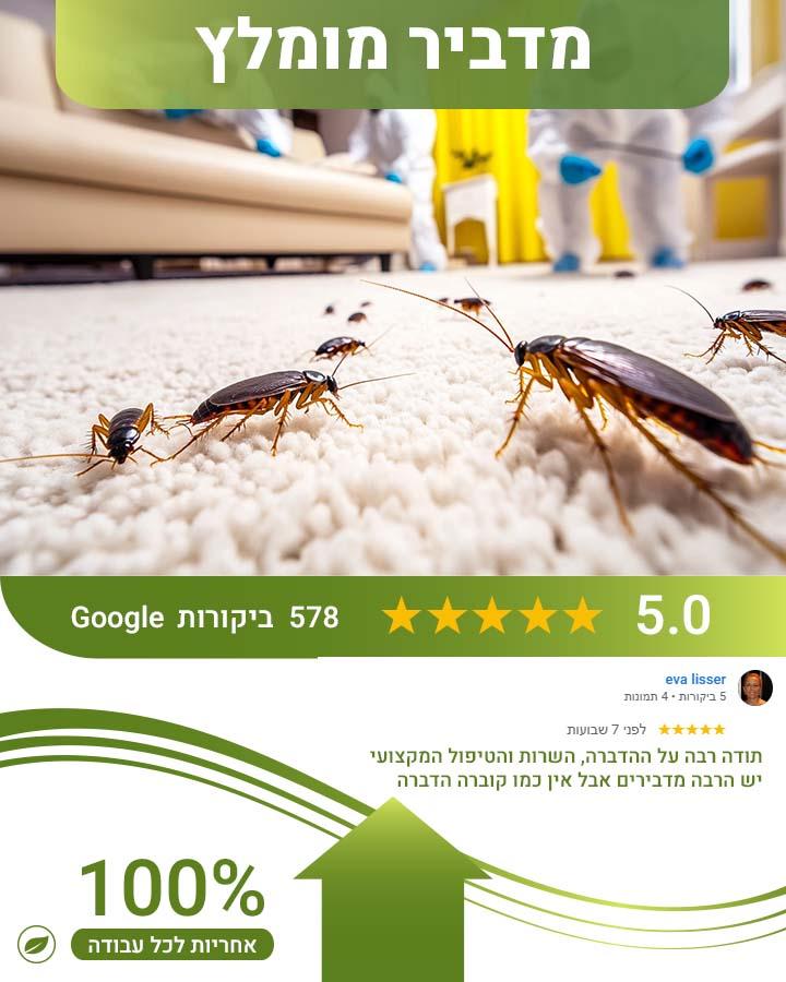 לוכד עכברים בשוהם