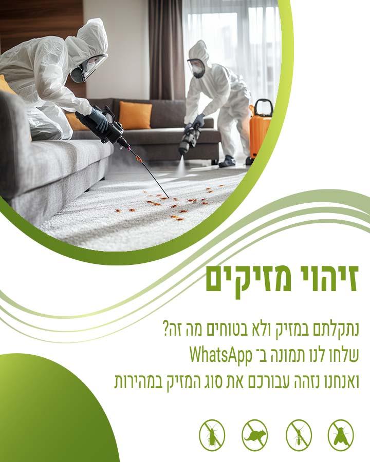לוכד עכברים בתל אביב