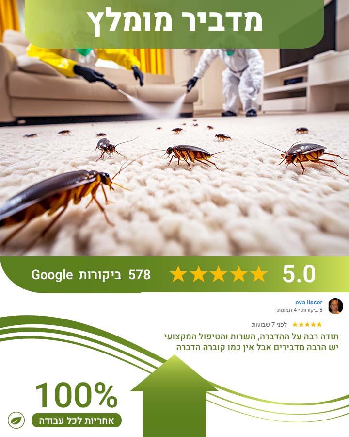 לוכד עכברים בתל מונד