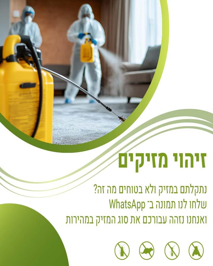 לכידת חולדות תל אביב 1