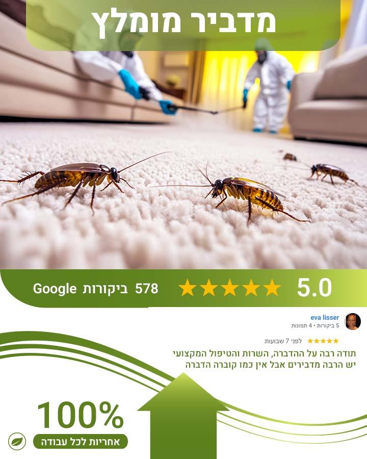 לכידת חולדות תל אביב 2