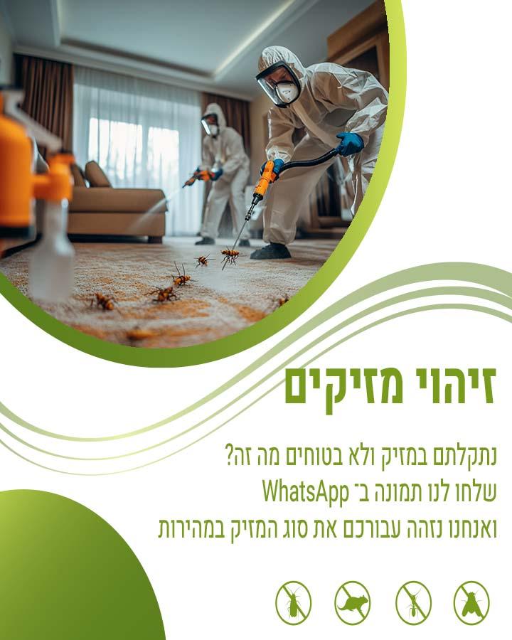 לכידת עכברים 1