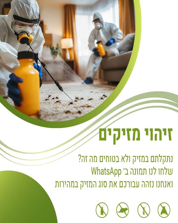 מדביר באלעד