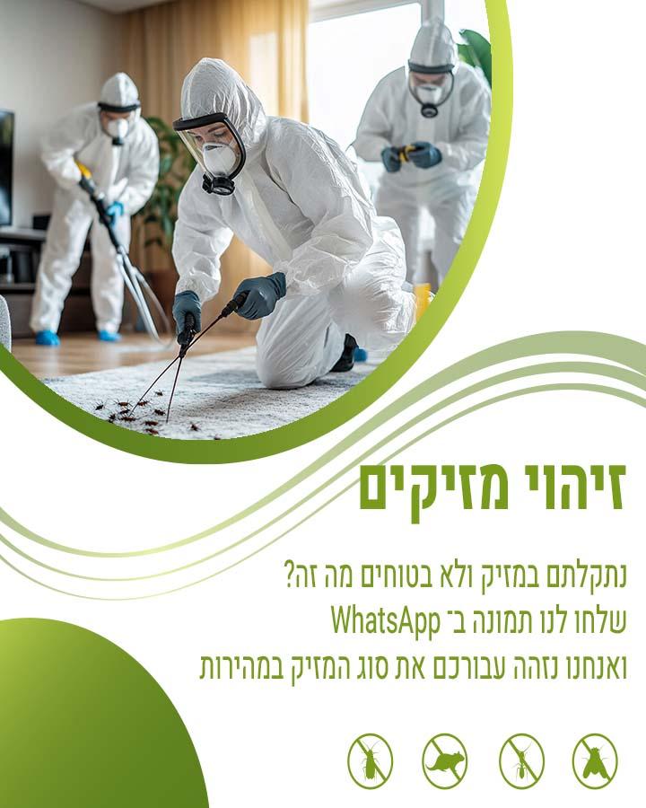 מדביר באשדוד