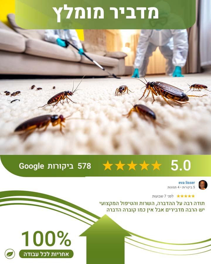 מדביר באשדוד