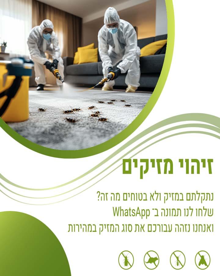 מדביר בגבעתיים