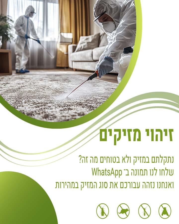 מדביר בחולון