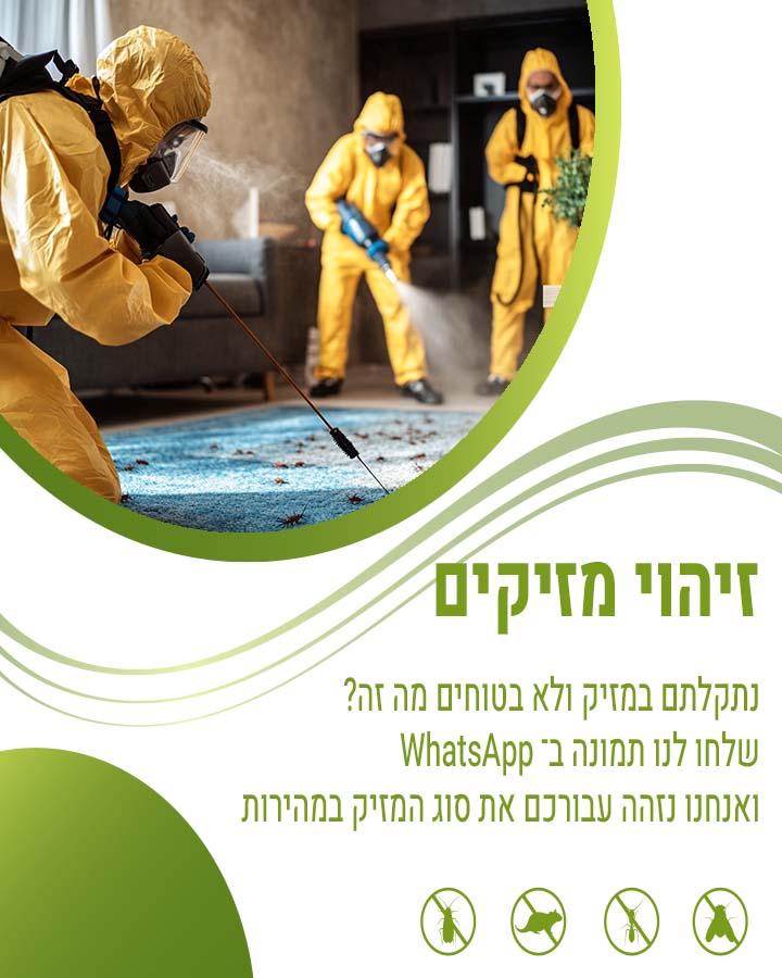 מדביר בלוד