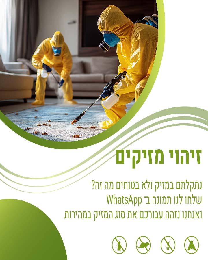 מדביר בנס ציונה