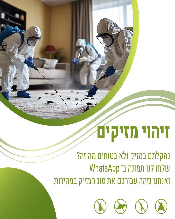 מדביר בשוהם