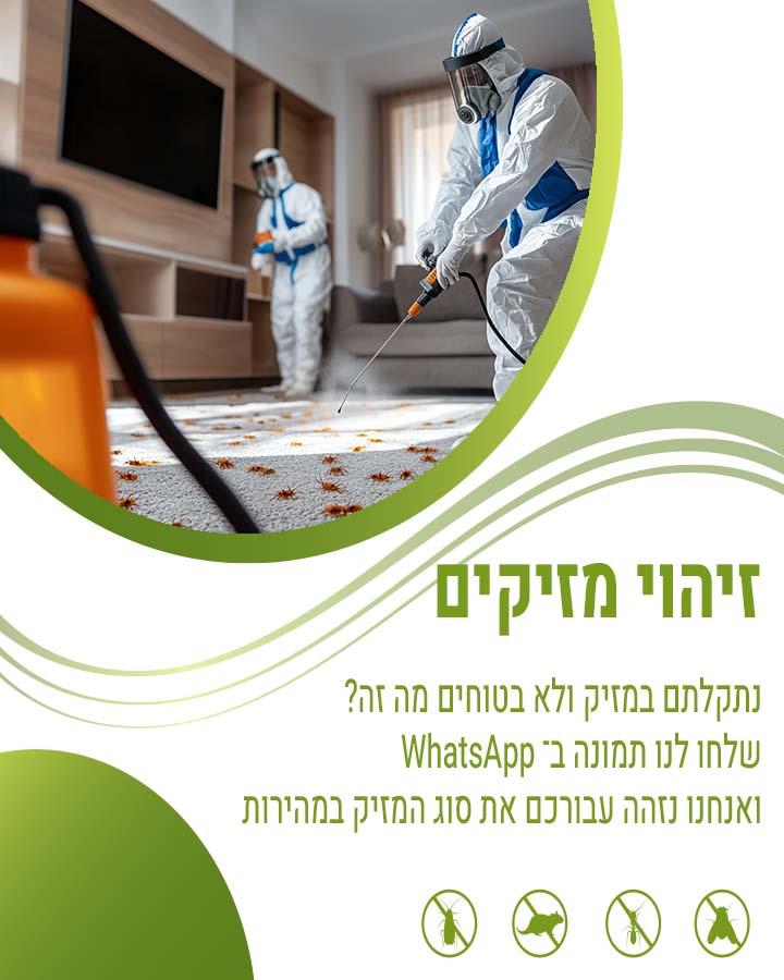 מדביר בתל מונד