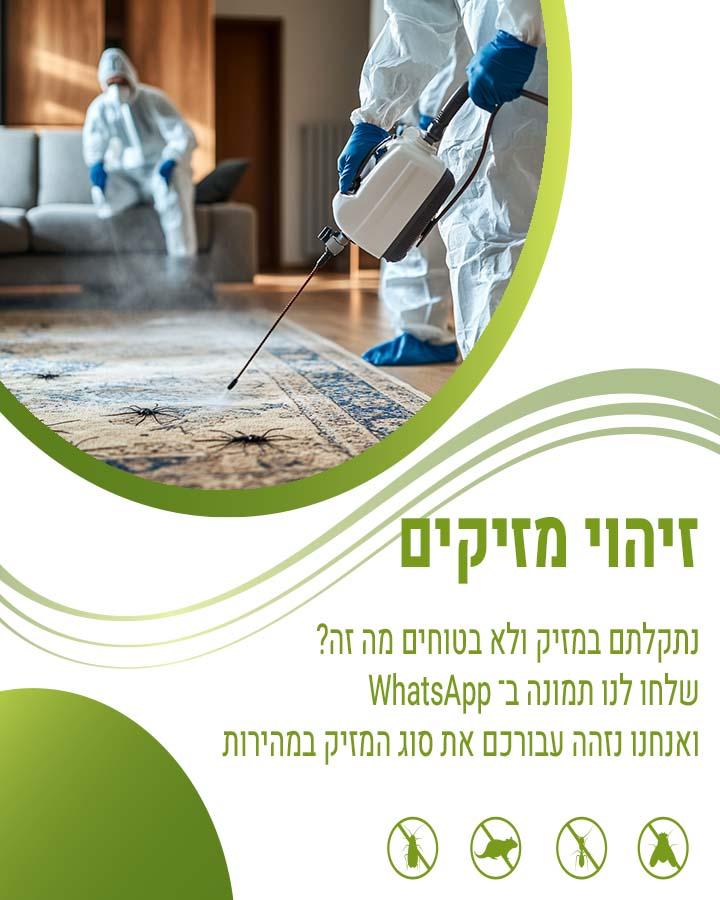 מדביר מומלץ ומוסמך