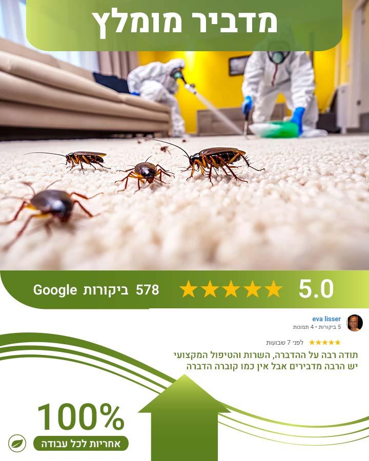 מדביר מומלץ ומוסמך