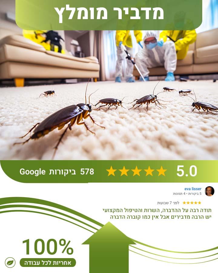 מדביר מורשה