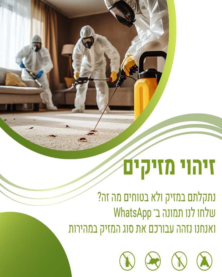 מדבירים בבת ים 1