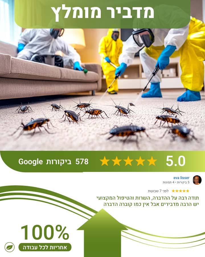 מה מושך ג'וקים