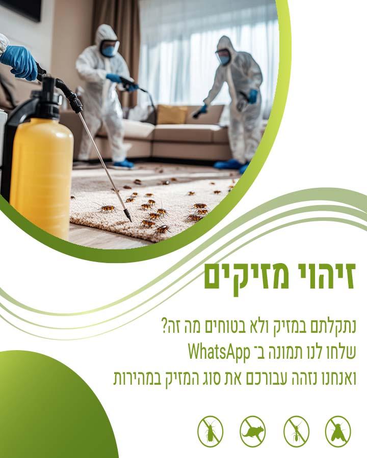 מה מושך יתושים