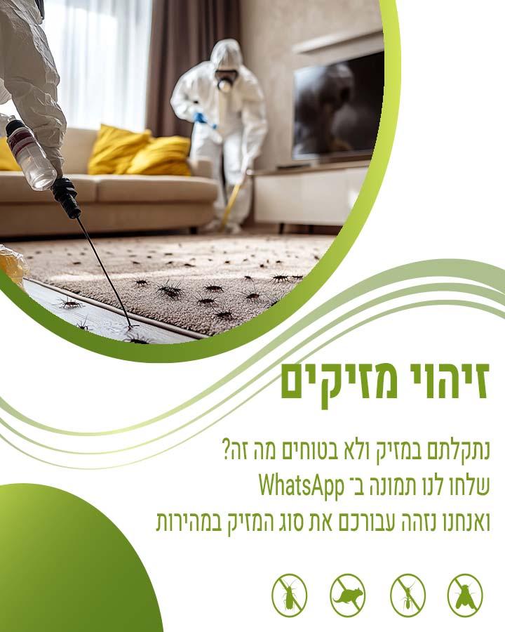 מה מושך עכברים