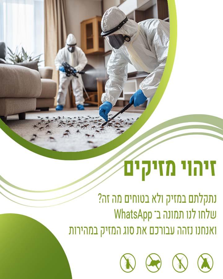 מזיק צורב